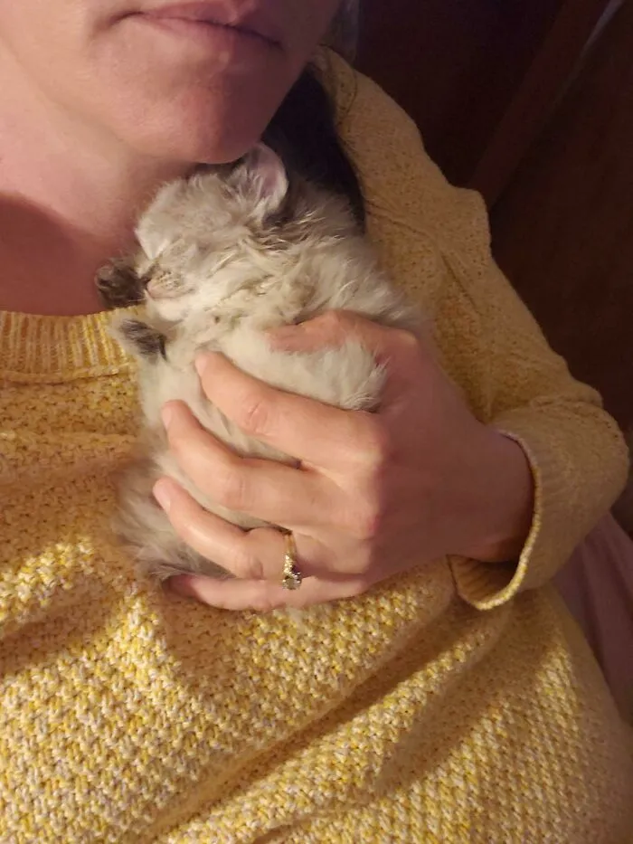 Day 2 With Our New Rescue Baby! First Night Was A Little Rough. Hoping She Sleeps Better Tonight!