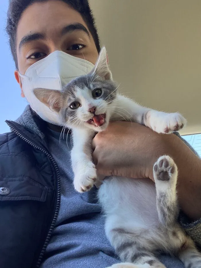 Adopted This Boy On The Spot Today. His Name Is Stevie Wonder And He’s A Blind Cat Who Loves To Be Held And Scream