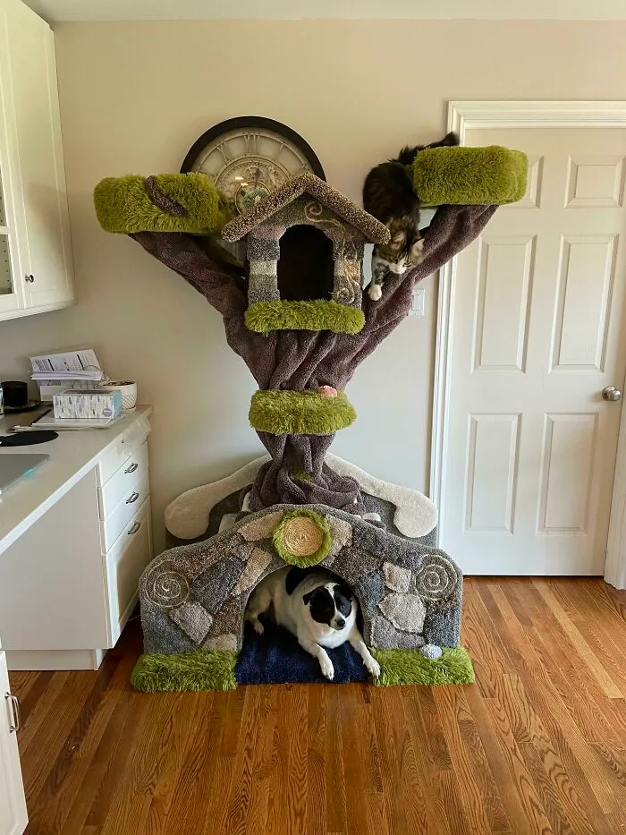 The Bridge, Another Cat Tree I Just Finished