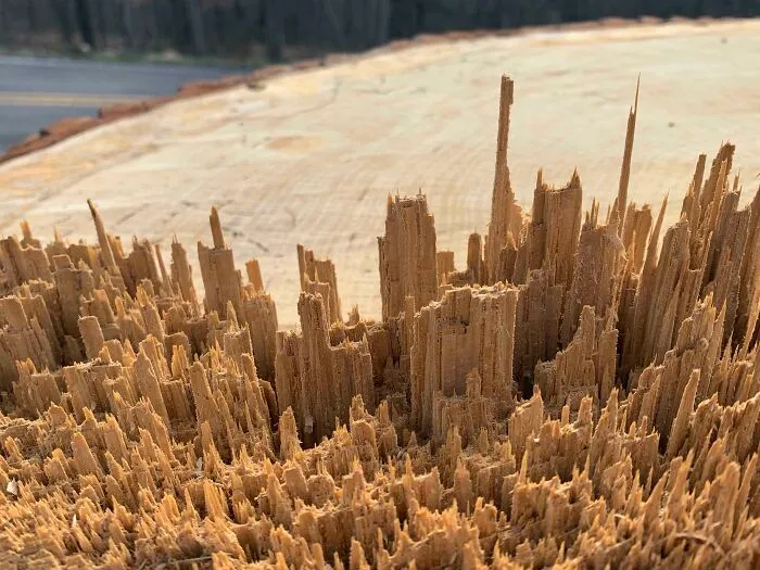 Astillas de madera que parecen una ciudad