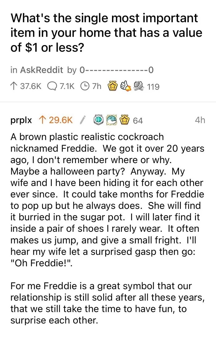 This Couple And Their Cockroach