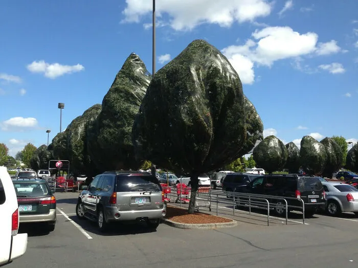 Cuando los árboles no se renderizan
