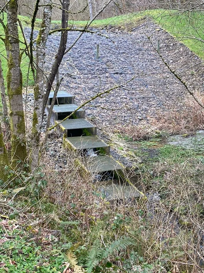 Found Coming Out Of A Small Hill. Water Alternates Between Either Side, Going Down Each Step