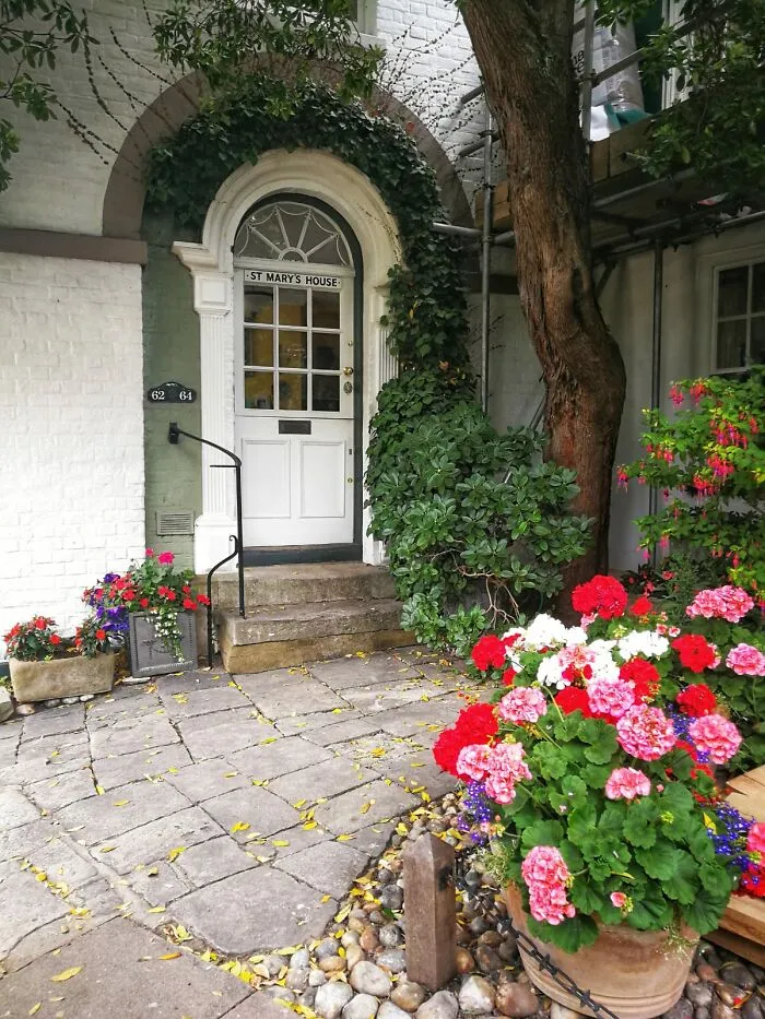 Muse Mews