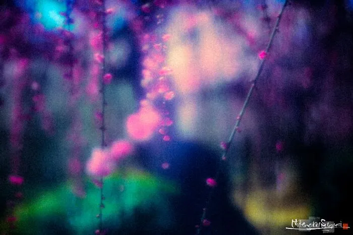 My Photo Of Defocus