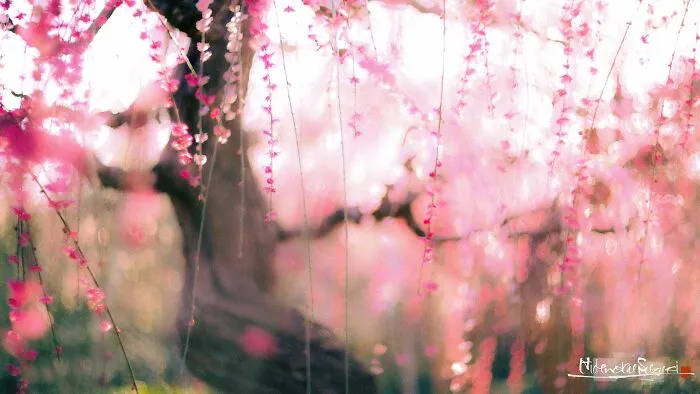 My Photo Of Defocus
