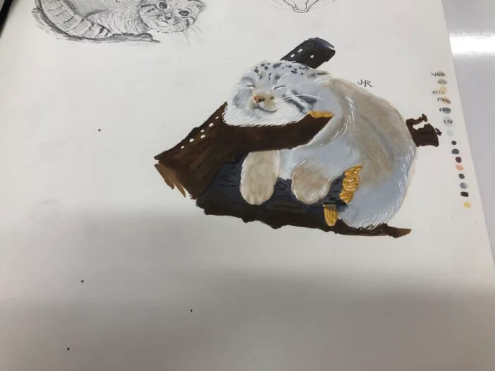 A Little Pallas Cat Study I Did Recently. Look At All Hat Floof!!!! @art_by_juliaaa On Instagram
