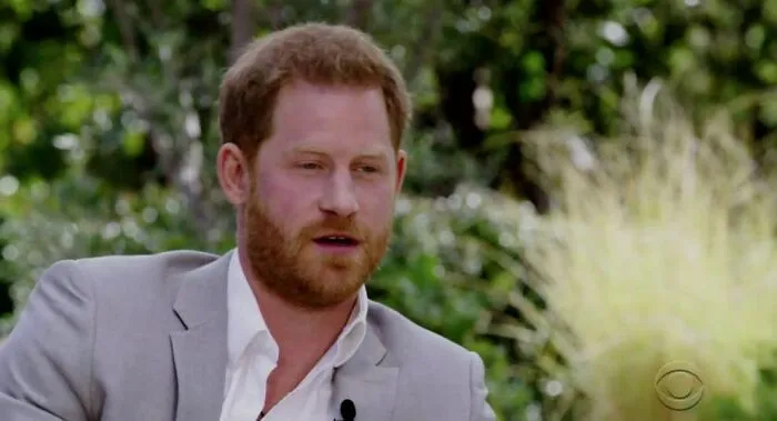Harry Says That The Royal Family Officially Cut Him Off Financially In The First Part Of 2020, And He Had To Rely On What His Mother, Princess Diana, Left Him