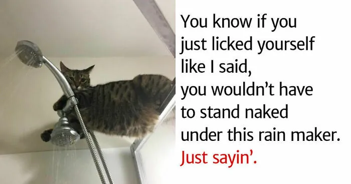 This Is My Cat!! (Or Cat-Hole. That Is What I Call Him)
