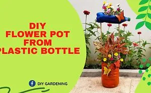 Vertical Garden; How To Make Vertical Flower Pot For Your Garden