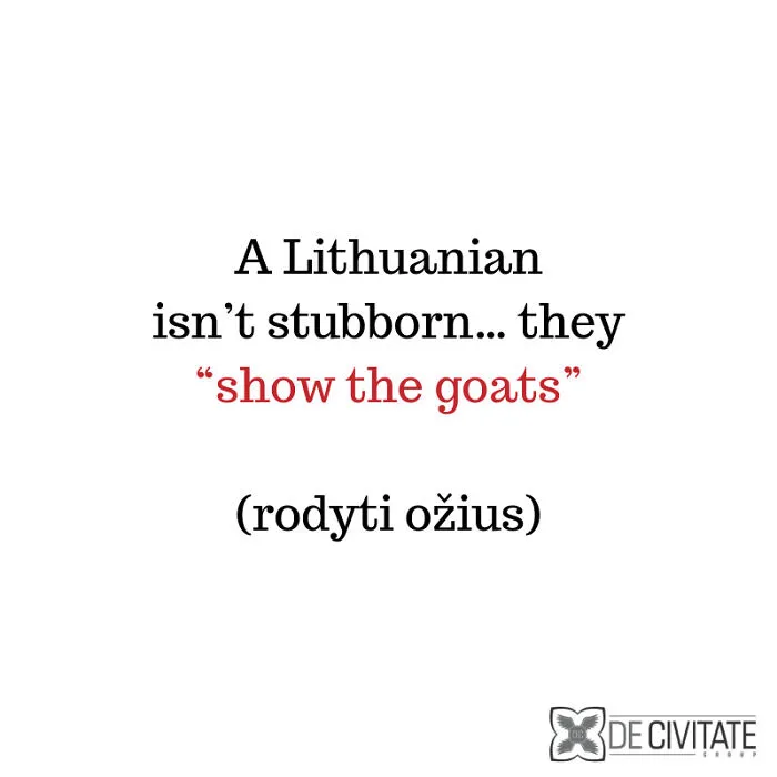 26 Lithuanian Expressions That Sound Absolutely Hilarious When Translated Into English