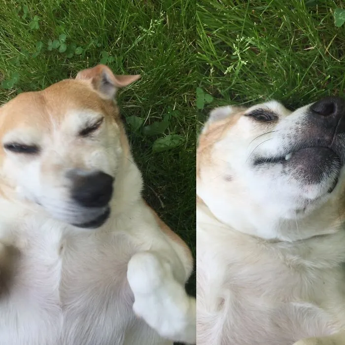 My Thicc Boi How I Miss Him