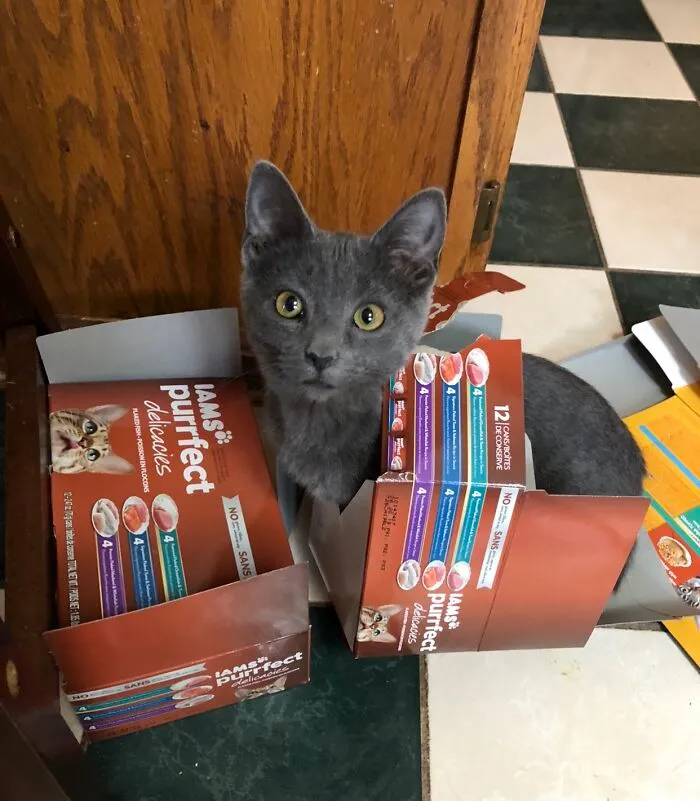 We’re Gonna Need A Bigger Box!
