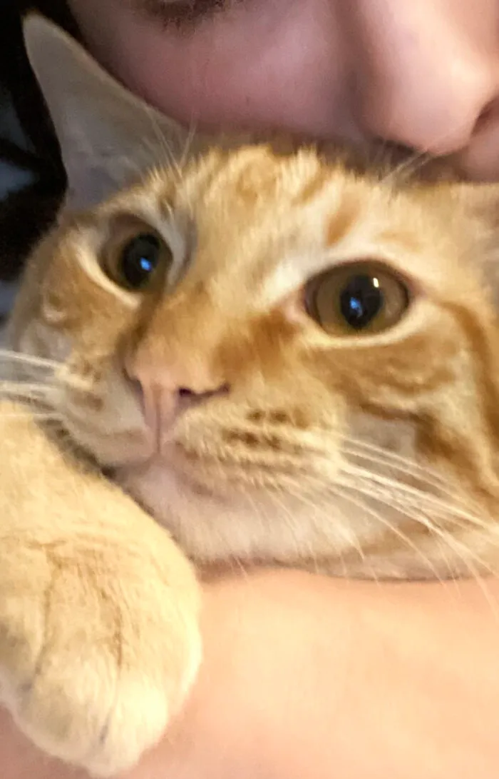 Just Look At The Face! I ❤️ My Baby!