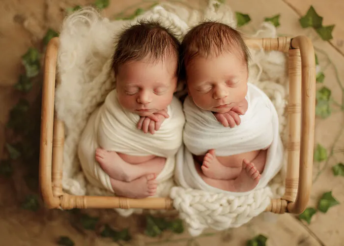 I Photographed Newborn Twins In Chicago