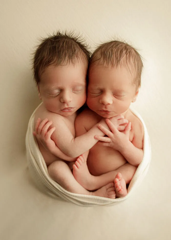 I Photographed Newborn Twins In Chicago