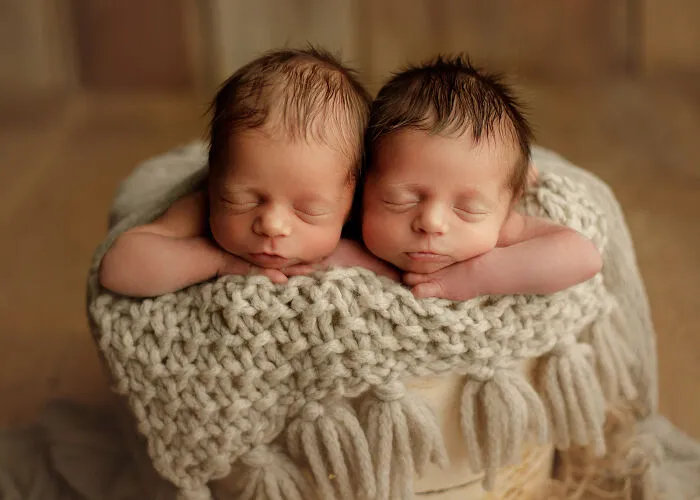 I Photographed Newborn Twins In Chicago