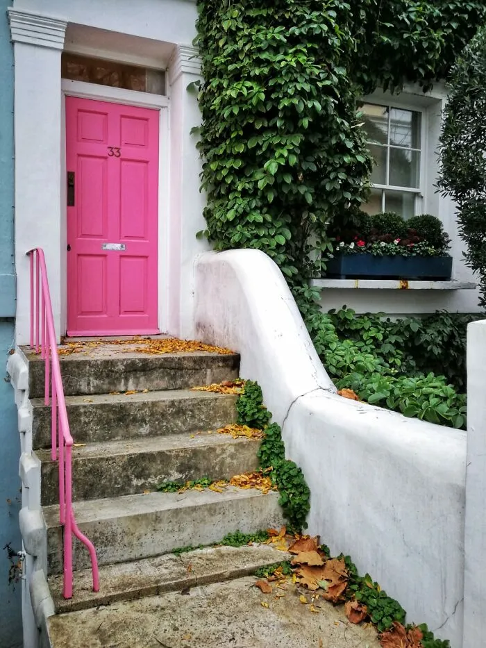 Pinkish Vibe