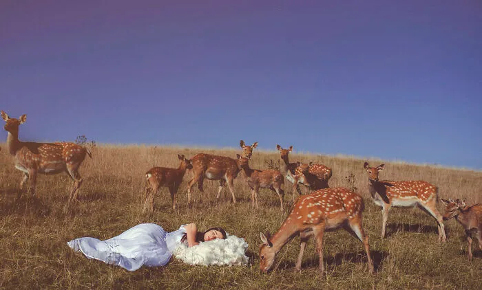 I Had A Beautiful Dream