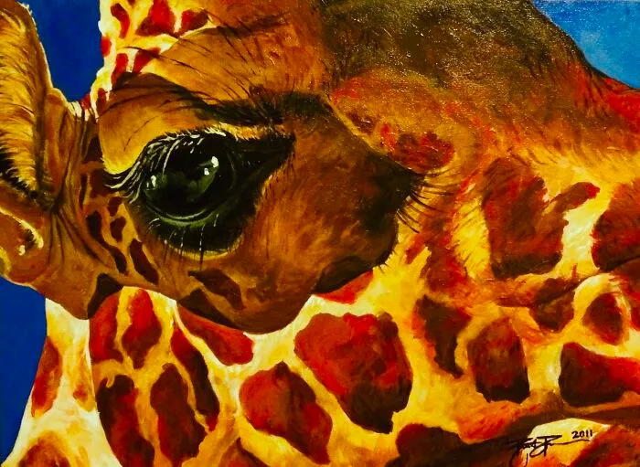 Charlie-Belle The Reticulated Giraffe