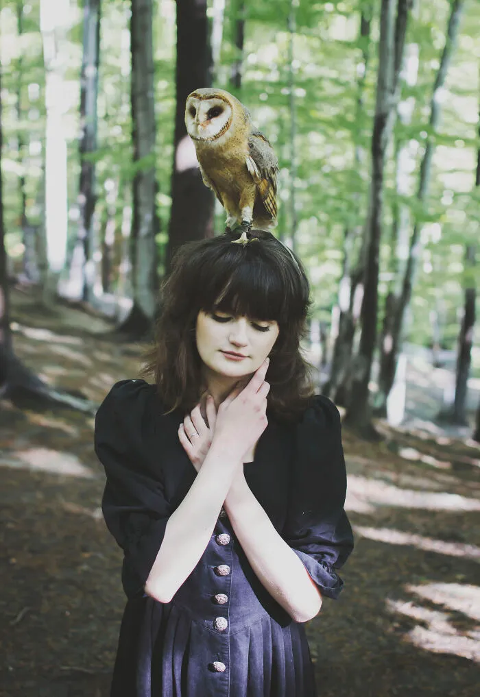 Owl's Story