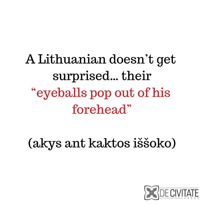 26 Lithuanian Expressions That Sound Absolutely Hilarious When Translated Into English
