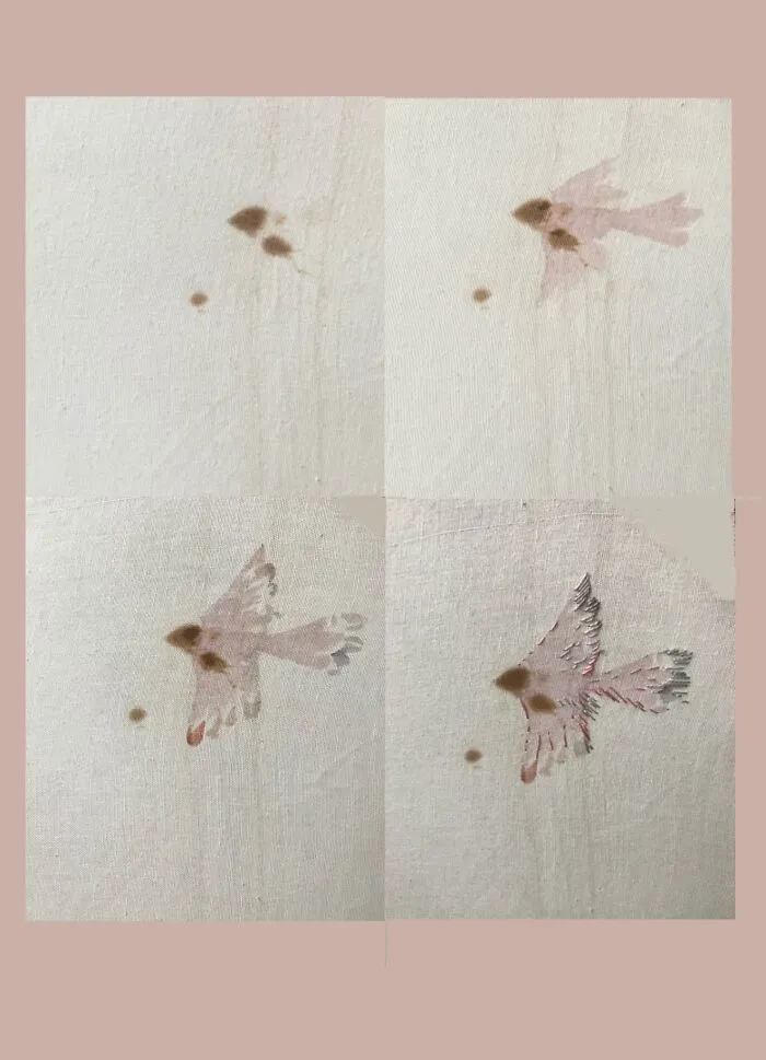 Flight Of A Stain