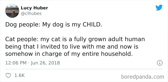 40 Of The Best "Dog People Vs. Cat People" Tweets
