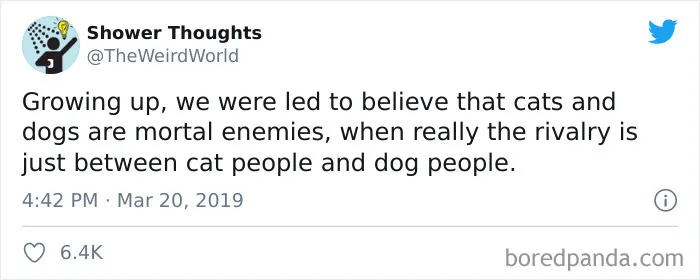 40 Of The Best "Dog People Vs. Cat People" Tweets