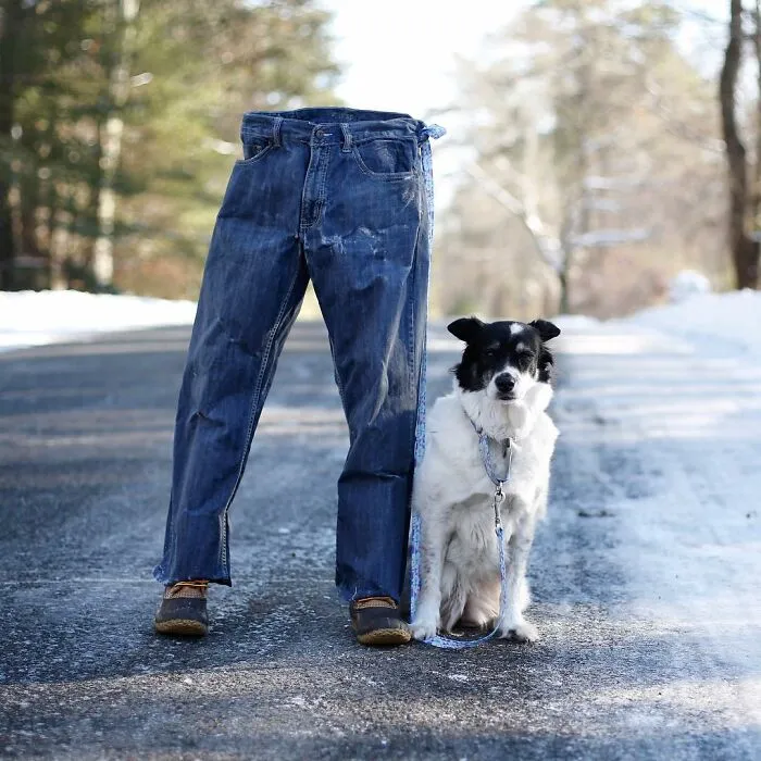 People Are Freezing Their Pants And Other Clothes And It Looks Like The Coolest Science Experiment (40 Pics)