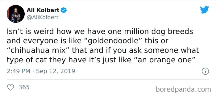 40 Of The Best "Dog People Vs. Cat People" Tweets