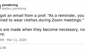 50 Funny Tweets From People Who Are So Done With Zoom Calls