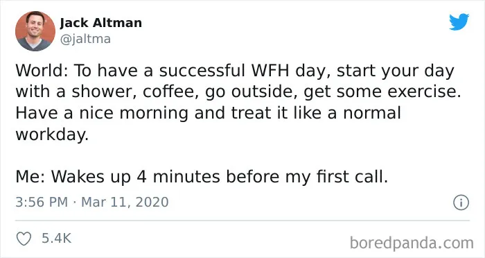 50 Funny Tweets From People Who Are So Done With Zoom Calls