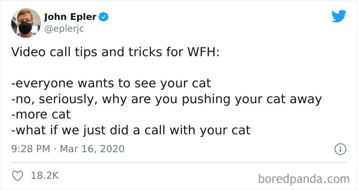 50 Funny Tweets From People Who Are So Done With Zoom Calls