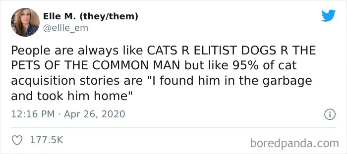 40 Of The Best "Dog People Vs. Cat People" Tweets