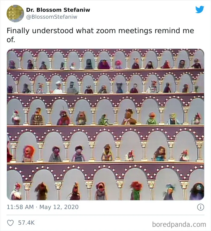 50 Funny Tweets From People Who Are So Done With Zoom Calls
