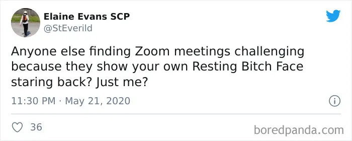 50 Funny Tweets From People Who Are So Done With Zoom Calls