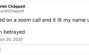 50 Funny Tweets From People Who Are So Done With Zoom Calls