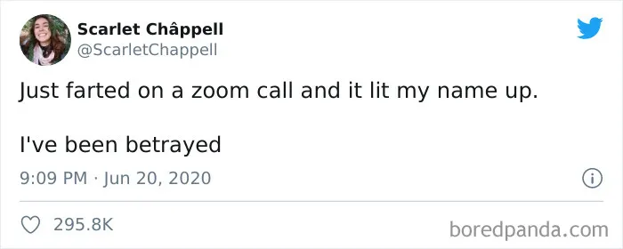 50 Funny Tweets From People Who Are So Done With Zoom Calls