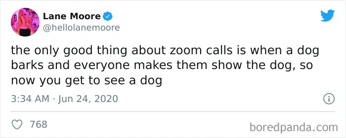 50 Funny Tweets From People Who Are So Done With Zoom Calls