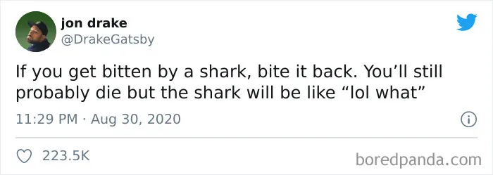 Shark Attack