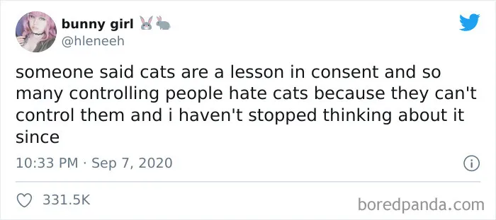 40 Of The Best "Dog People Vs. Cat People" Tweets