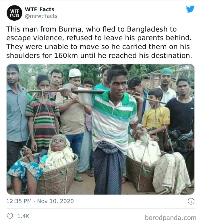 50 Random Facts That Sound Fake But Aren't, Shared By This Twitter Account