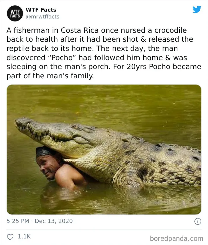 50 Random Facts That Sound Fake But Aren't, Shared By This Twitter Account