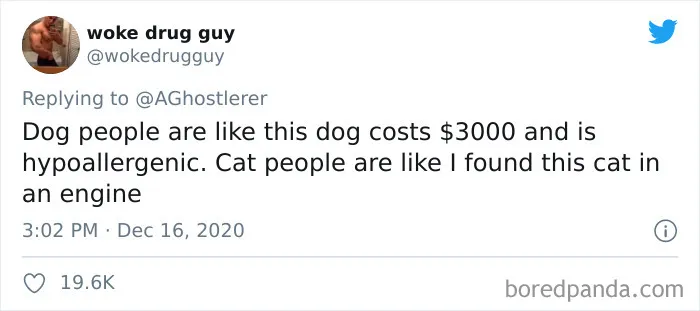 40 Of The Best "Dog People Vs. Cat People" Tweets