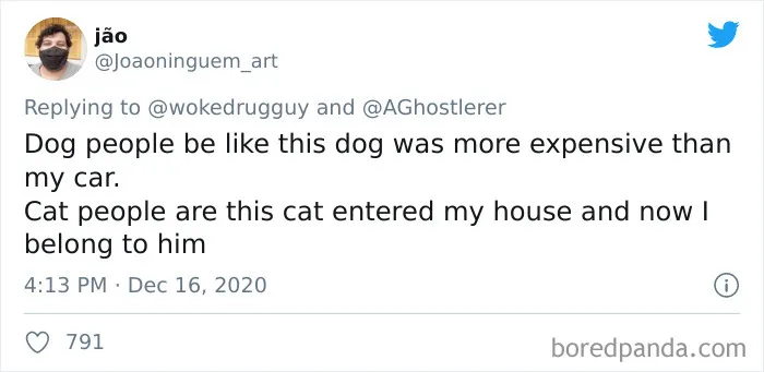 40 Of The Best "Dog People Vs. Cat People" Tweets