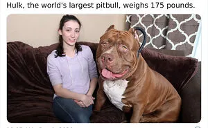 50 Random Facts That Sound Fake But Aren't, Shared By This Twitter Account