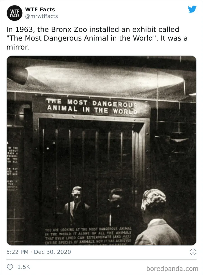 50 Random Facts That Sound Fake But Aren't, Shared By This Twitter Account