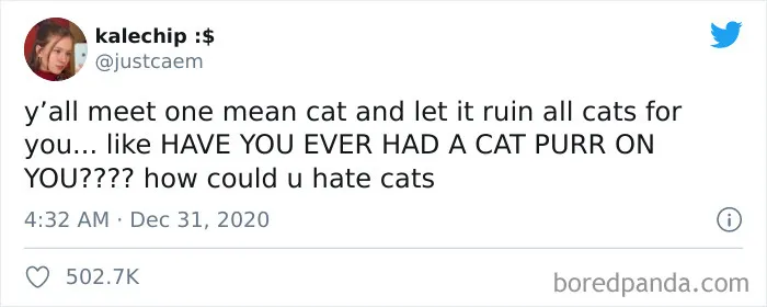 40 Of The Best "Dog People Vs. Cat People" Tweets