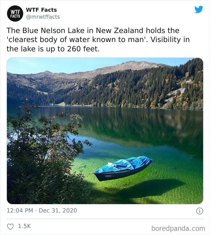 50 Random Facts That Sound Fake But Aren't, Shared By This Twitter Account